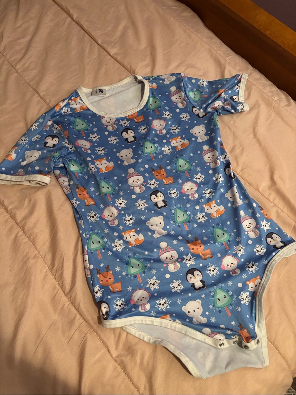 Itty Bitty Littles Winter Themed Onesie